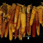 女子被揉胸 l9sdor9mq